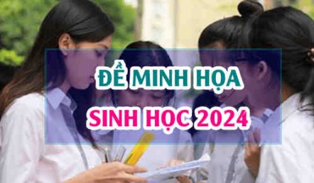 Đề minh hoạ môn Sinh 2024 thi tốt nghiệp THPT